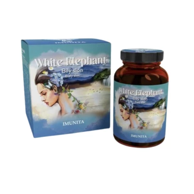 white elephant Imunita foto