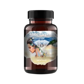 bílý slon Močové cesty foto